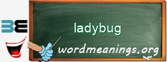 WordMeaning blackboard for ladybug